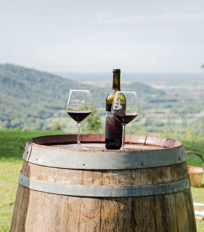 vino degustazione in collina