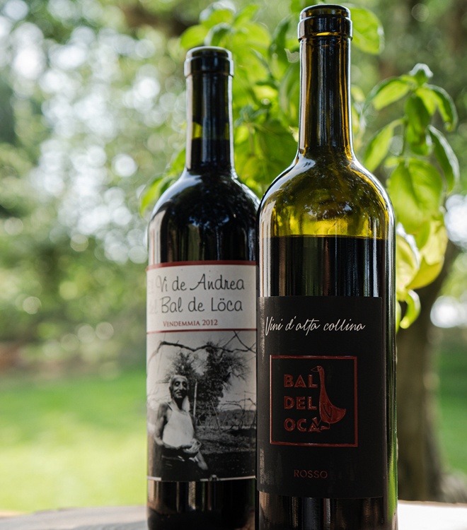 vino di collina rosso botticino